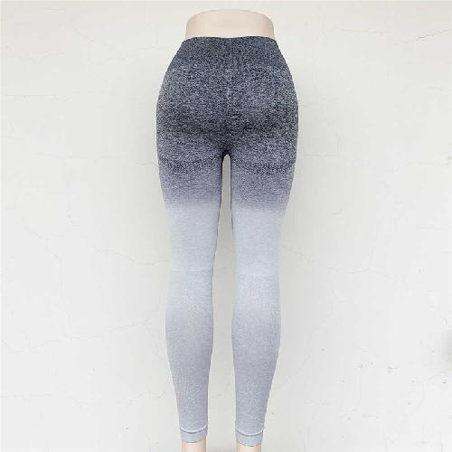 4fb11667 e064 48d0 813a ff67f742b34e