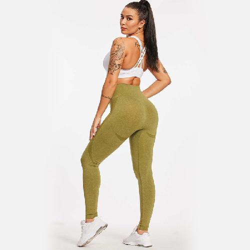 c8bed94a 5e62 448d 87cd e17569c67ecf