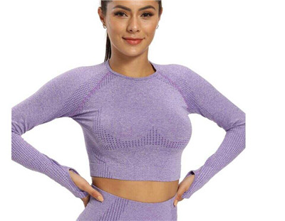 Introduction to Sweatshirt 1672817976295